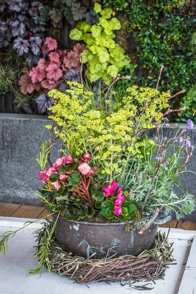 Beautiful Colorful Potted Plants Flowers Rusty Metal Flower Pot Balcony — Stock Photo, Image