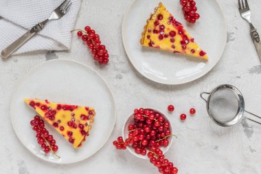 Beyaz arka planda iki parça ev yapımı kırmızı frenk üzümü turtası. Taze kırmızı frenk üzümleriyle süslenmiş.