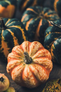 Çizgili desenli çeşitli küçük balkabaklarının yakın çekimi