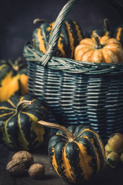 Koyu arkaplanda çizgili desenli çeşitli küçük balkabakları olan sepet.