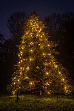 Gece büyük dekore edilmiş ve ışıklandırılmış Noel ağacı, dikey