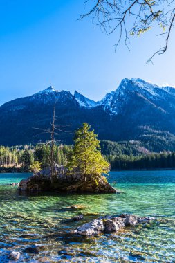 Almanya 'daki Hintersee Gölü, Bavyera, Alplerdeki Ramsau Ulusal Parkı. Güzel kış manzarası. Dikey.