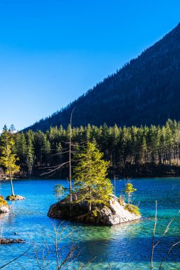 Almanya 'daki Hintersee Gölü, Bavyera, Alplerdeki Ramsau Ulusal Parkı. Güzel kış manzarası. Dikey.