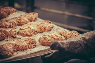 Profesyonel fırıncı elinde fırın tepsisiyle yeni pişmiş peynirli kruvasan tutuyordu.