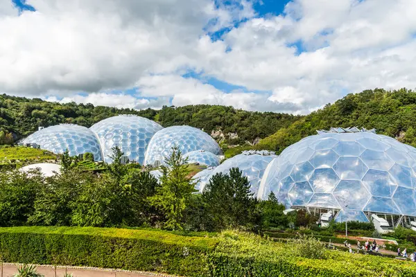 Eden Projesi, Cornwall, İngiltere 14 Ağustos 2023: Yağmur ormanı iklimi ve bitkilerinin yer aldığı dev seraların yer aldığı ziyaretçi cazibesi ve eğitim merkezi.