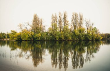 Gri bir bahar gününde, kasvetli bir gölde ada, farklı yeşil ve sarı tonlarda, güzel yansımalar.