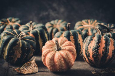 Ahşap zemin üzerinde çizgili deseni olan çeşitli küçük balkabakları kopya alanı ile üst görünüm