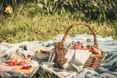 Boş zaman, parmak yiyecekleri ve içecekler - piknik sepeti, meyve suyu, meyve salatası, yoğurt, pasta, domates, bretzel