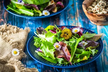Karışık çeşitleri olan taze salata ve kırsal mavi ahşap arka planda yenilebilir çiçekler.