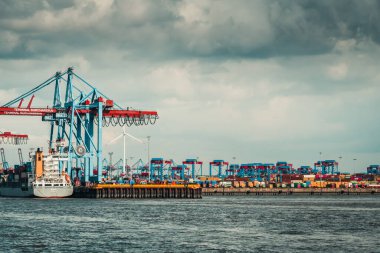 Hamburg, Almanya, 16.06.2025: Hamburg limanındaki Burchardkai konteyner terminalinde vinçler. 