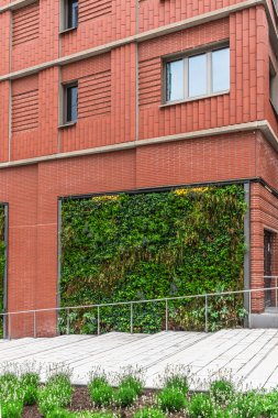 Modern bir binada dikey yeşil yataklar.