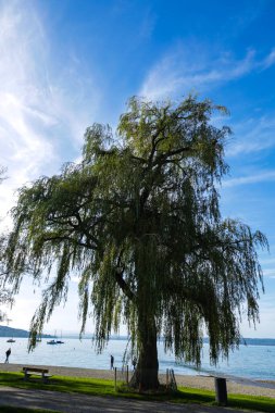 Ammersee 'de güzel bir sonbahar günü, Herrsching am Ammersee, Bavyera' da 5 göl