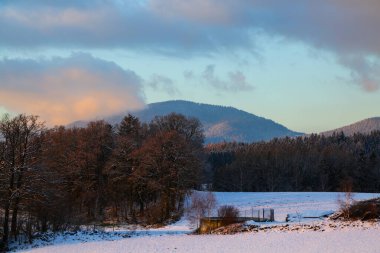 winter in bavarian forest, wildlife in germany