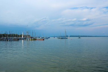 Düşünceli ördek Ammersee 'de Dieen am Ammersee, Bavyera, vahşi yaşam