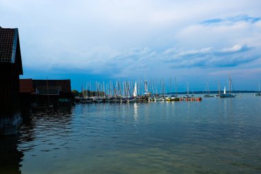 Düşünceli ördek Ammersee 'de Dieen am Ammersee, Bavyera, vahşi yaşam