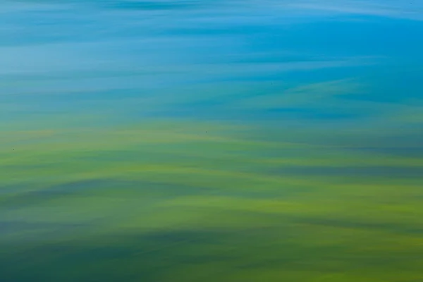 Seerosen Teich Sommerzeit — Stockfoto