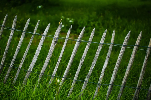 Наклонный Деревянный Забор Лугом — стоковое фото