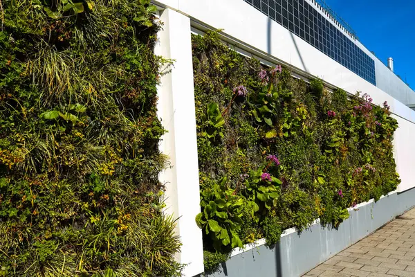 vertical outdoor planting on a company premises, wall planting