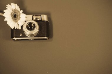 Gerbera 'lı eski kamera, çiçek.