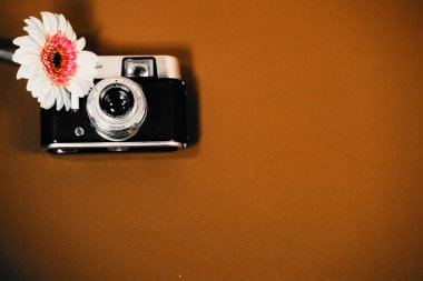Gerbera 'lı eski kamera, çiçek.