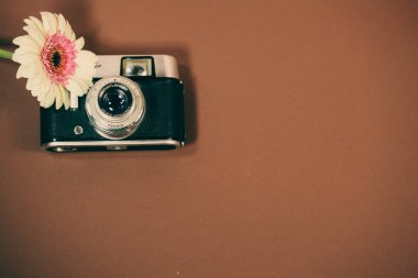 Gerbera 'lı eski kamera, çiçek.