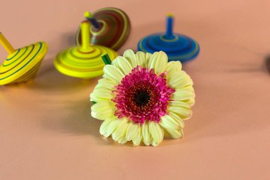 Ortasında Gerbera 'nın olduğu dönen top, çocukların tepesi.,