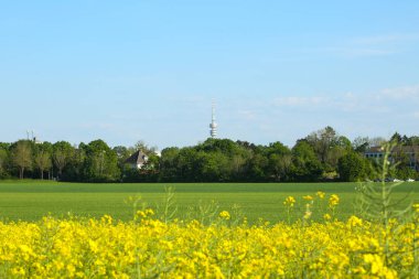 Rapsfield Münih 'te arka plandaki TV kulesinde