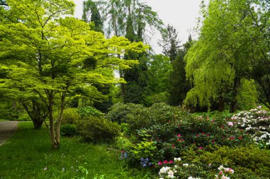 Münih 'teki botanik bahçesi, turizm, yeşil