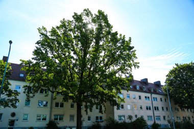 Önünde ağaçlar olan bir apartman.