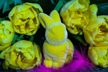 Laleli Paskalya Tavşanı