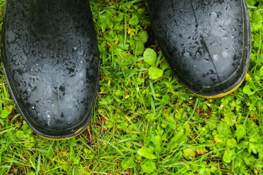 Yağmurdan sonra ıslak çimlerde lastik çizmeler