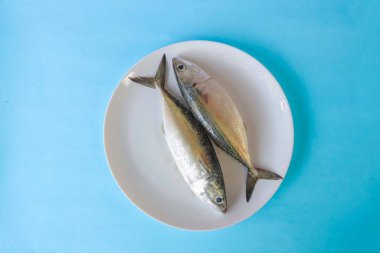 a mackerel fish fresh from the sea, photographed on a white plate ready to be cooked as desired clipart