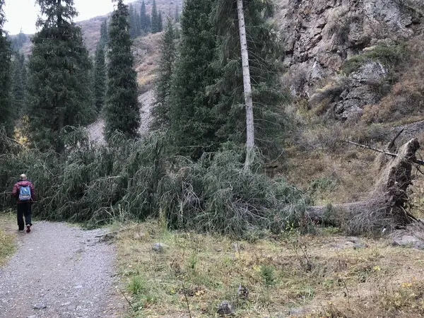 Dağlarda yürüyüş.