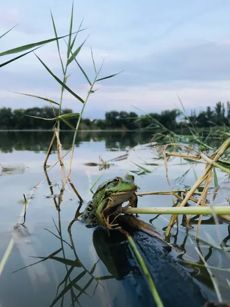 Sabah göl manzarası çok güzel.
