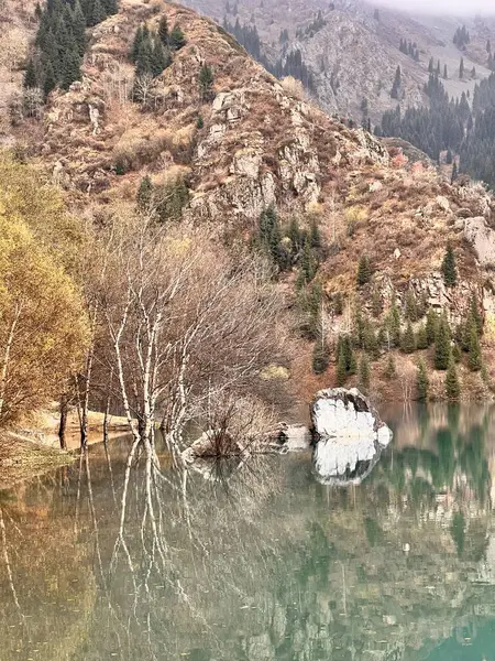 Dağlarda gölü olan güzel bir manzara.