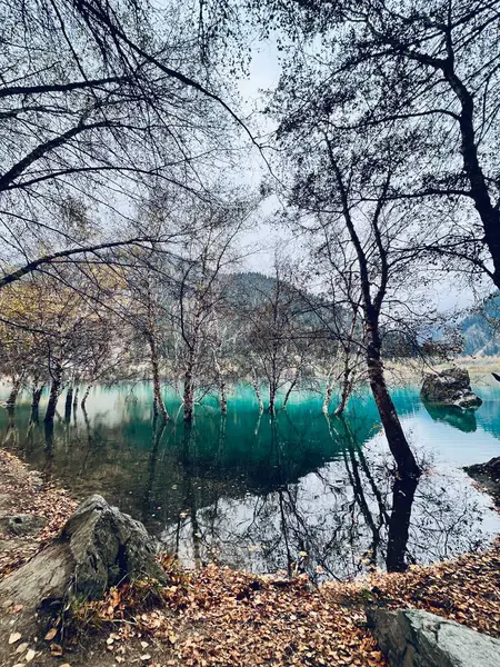 Güzel göl manzarası