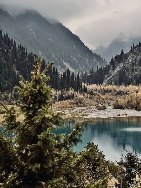Dağlardaki gölün güzel manzarası