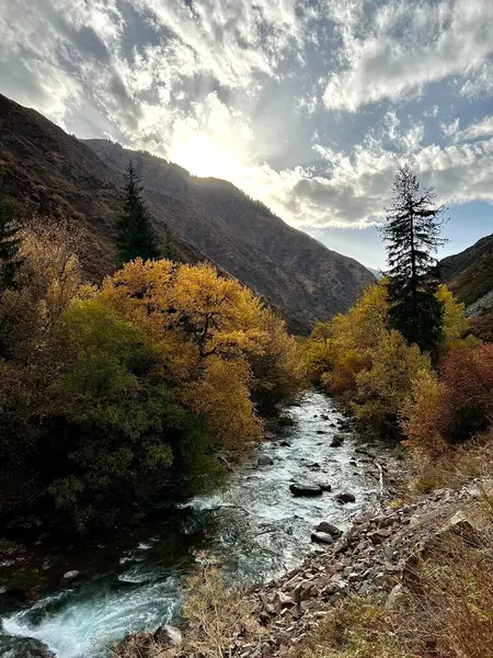 Ağaçlar ve dağlarla dolu güzel sonbahar manzarası
