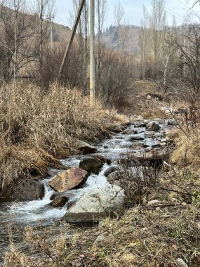 Doğanın güzel manzarası