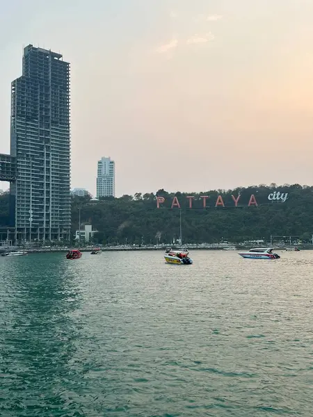 view of the city of pattaya, thailand