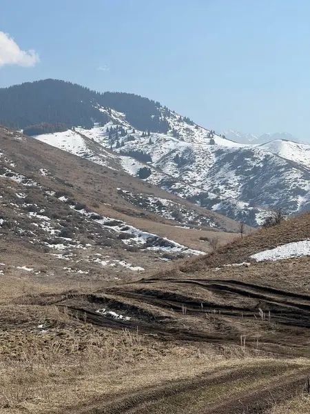 Arkasında bir dağ olan güzel bir manzara.