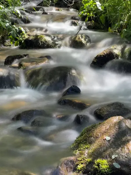 Ormanda güzel bir şelale