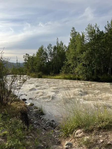 Gündüz vakti yeşillik ve tepelerle çevrili bir ormanda akan nehrin dikey görüntüsü.