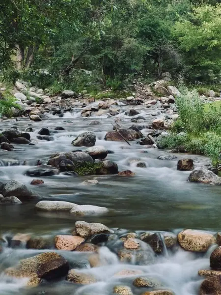 Ormanda güzel bir şelale