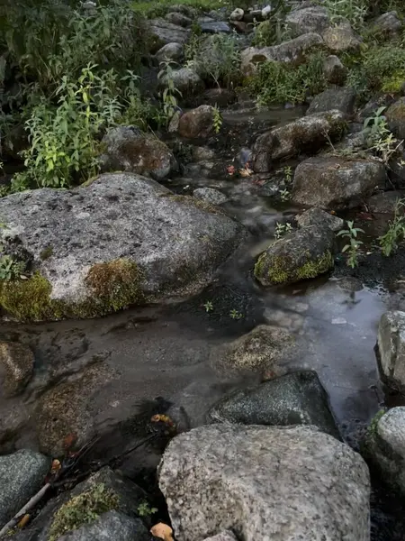 Ormanda güzel bir şelale