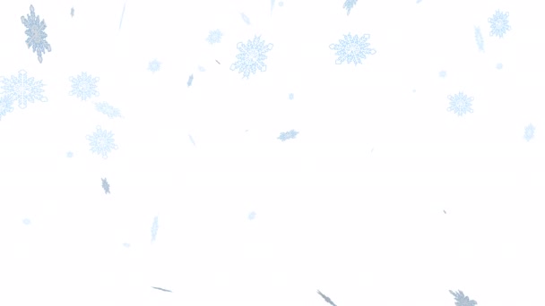Funkelndes Schleifenpartikel Schneeflocke Und Alpha Kanal Transparenter Hintergrund Winterbild — Stockvideo