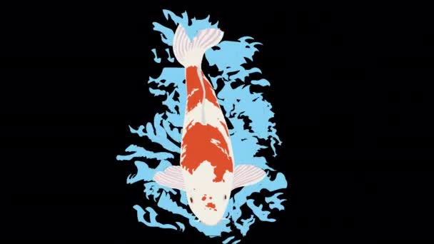 泳ぐ鯉のループアニメーション アルファチャンネル付き4Kアニメーション 夏のイメージ — ストック動画