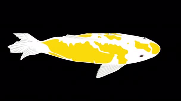 Yüzme Sazan Döngüsü Animasyonu Alfa Kanalı Ile Animasyon Yaz Görüntüsü — Stok video