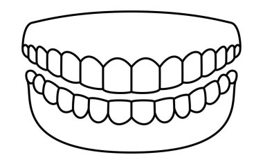 Diş, sağlıklı ve temiz dişlerin resmi, 14 üst ve alt diş ve diş eti, Vektör İllüzyonu