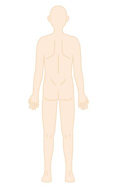 İnsan vücudu, çıplak ve çıplak (sırt), Vektör İllüzyonu